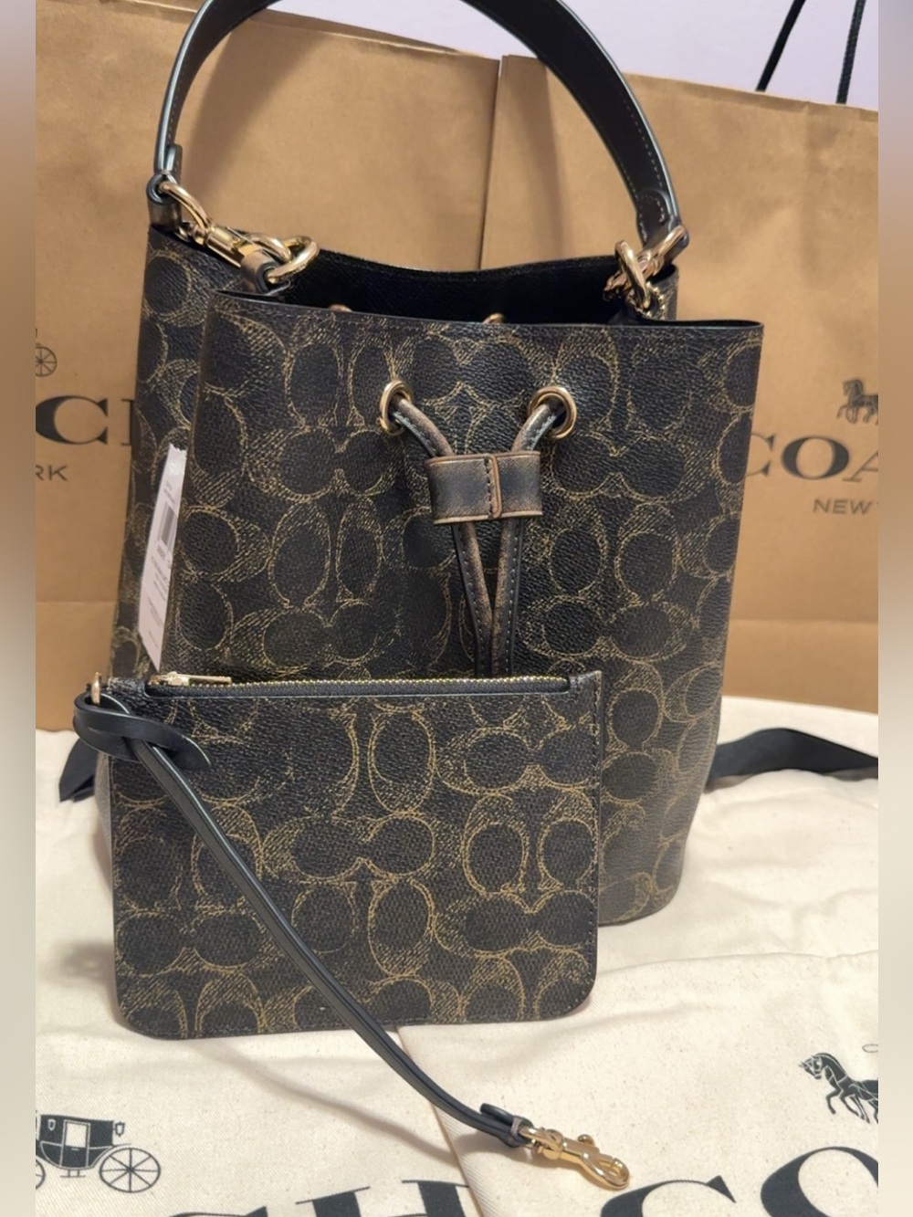 Rowan Bucket Bag in Loved Signature Coated Canvas - Picture 11 of 11